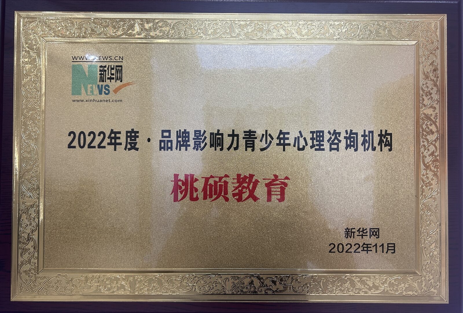 品牌影响力青少年心理咨询机构牌匾